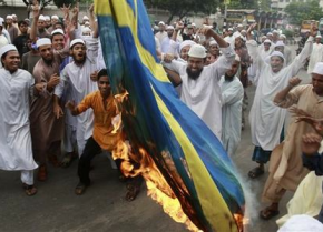 Muslim burning Swedish flag